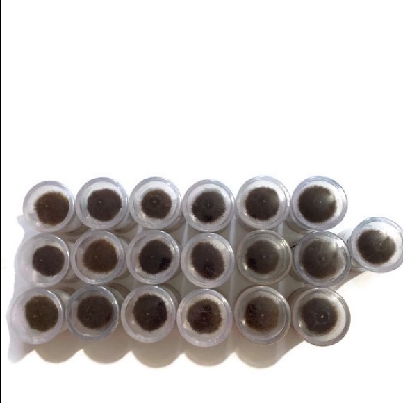 LOreal Paris Makeup True Match Wholesale Lot new - Picture 2 of 4